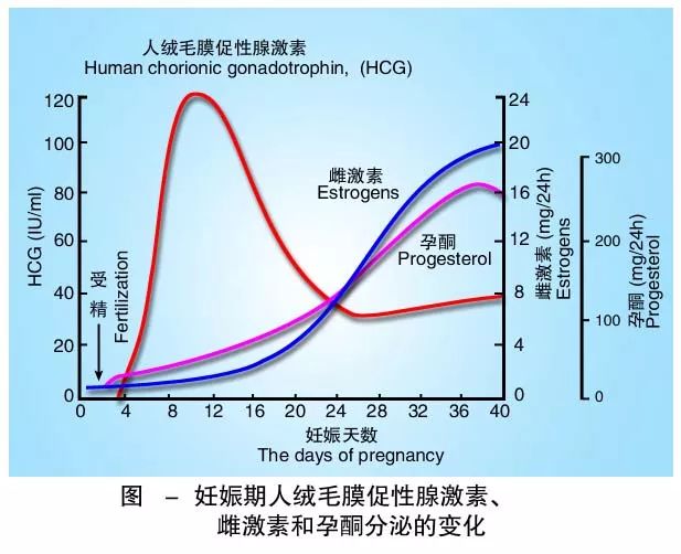 懷孕期間HCG低怎么辦？